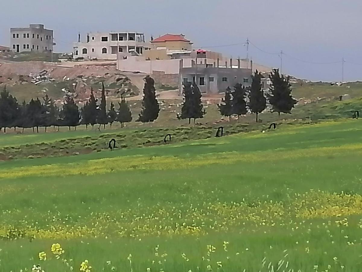 Villa Zee Madaba Zewnętrze zdjęcie