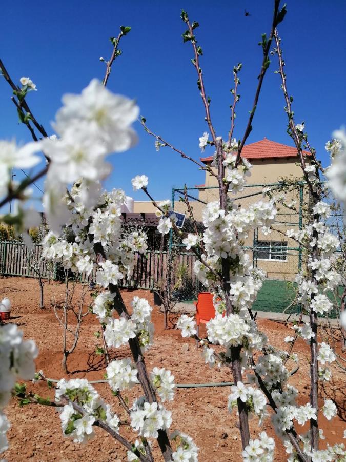 Villa Zee Madaba Zewnętrze zdjęcie